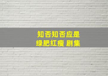 知否知否应是绿肥红瘦 剧集